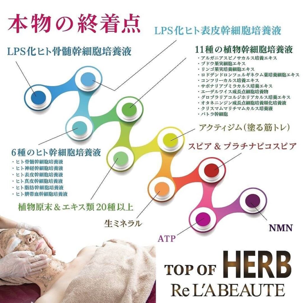 幹細胞培養液導入
